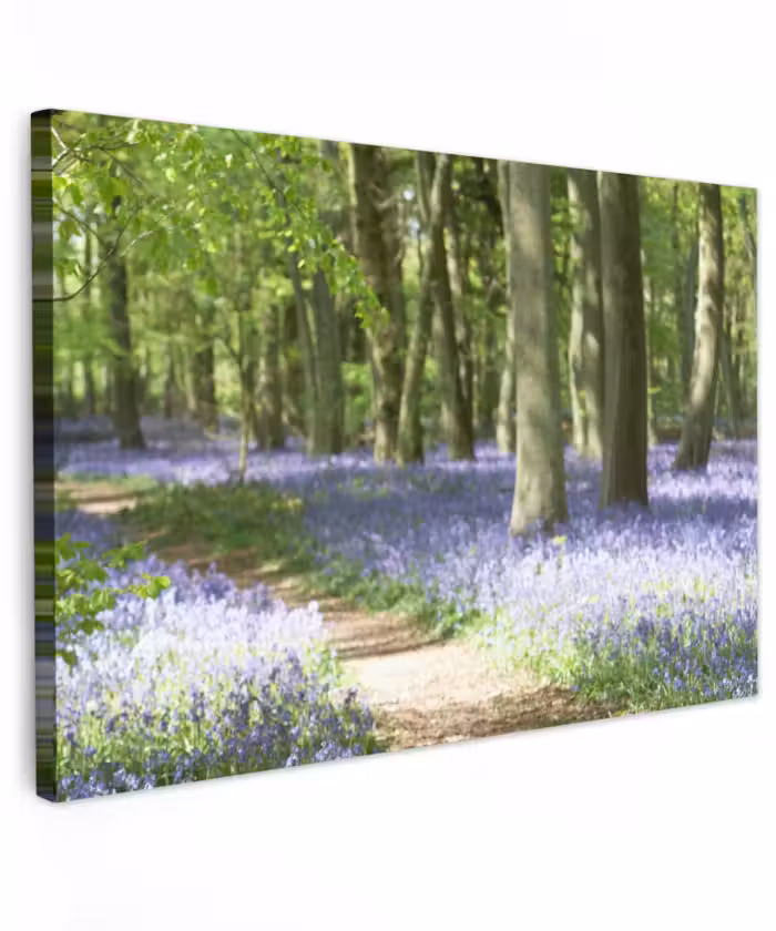 Buiten canvas - Bos - Pad - Bloemen - Paars - Groen - Natuur