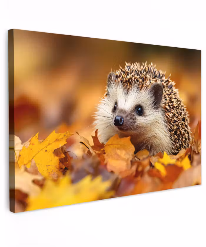 Buiten canvas - Egel - Bos - Herfstbladeren - Herfst - Bosdieren - Natuur