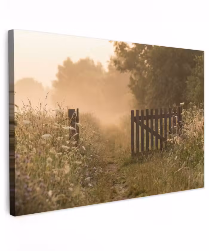Buiten canvas - Hek - Natuur - Mist - Veld