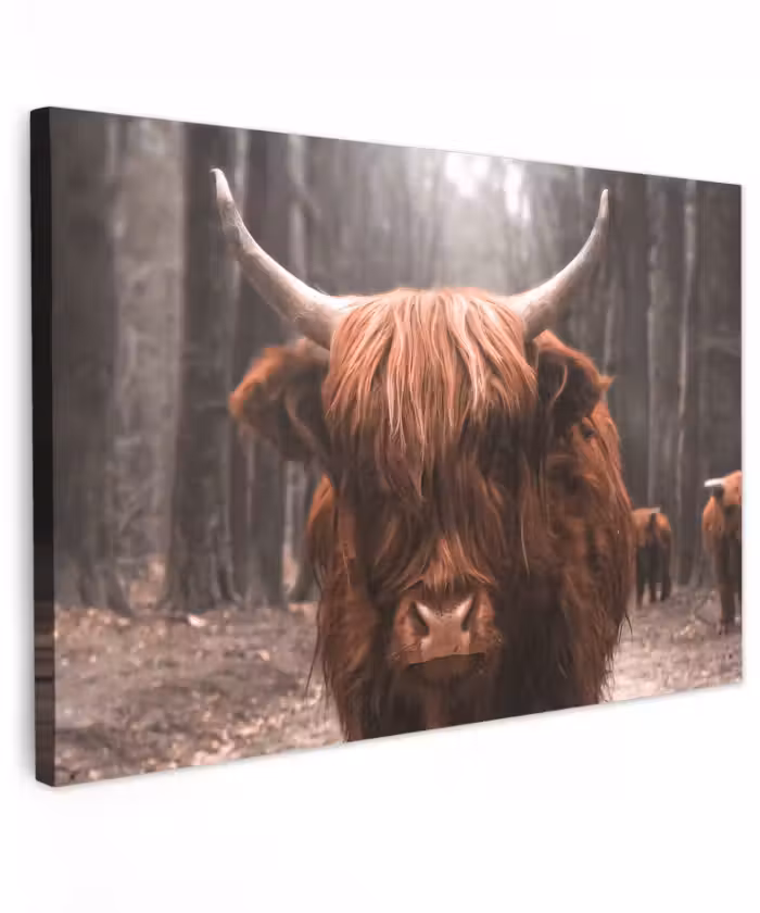 Buiten canvas - Hooglander in het Bos