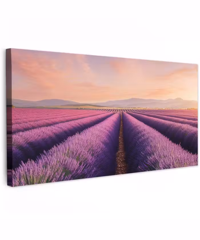 Buiten canvas - Lavendelveld - Zonsondergang - Paars - Bloemen