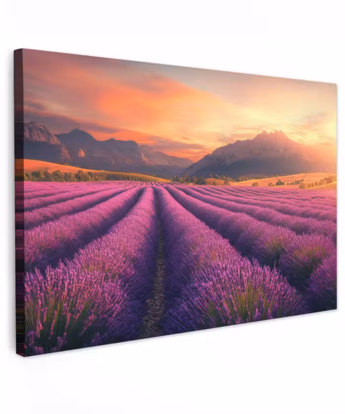 Buiten canvas - Lavendelveld - Zonsondergang - Paars