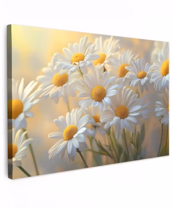 Buiten canvas - Madeliefjes - Wit - Zonlicht