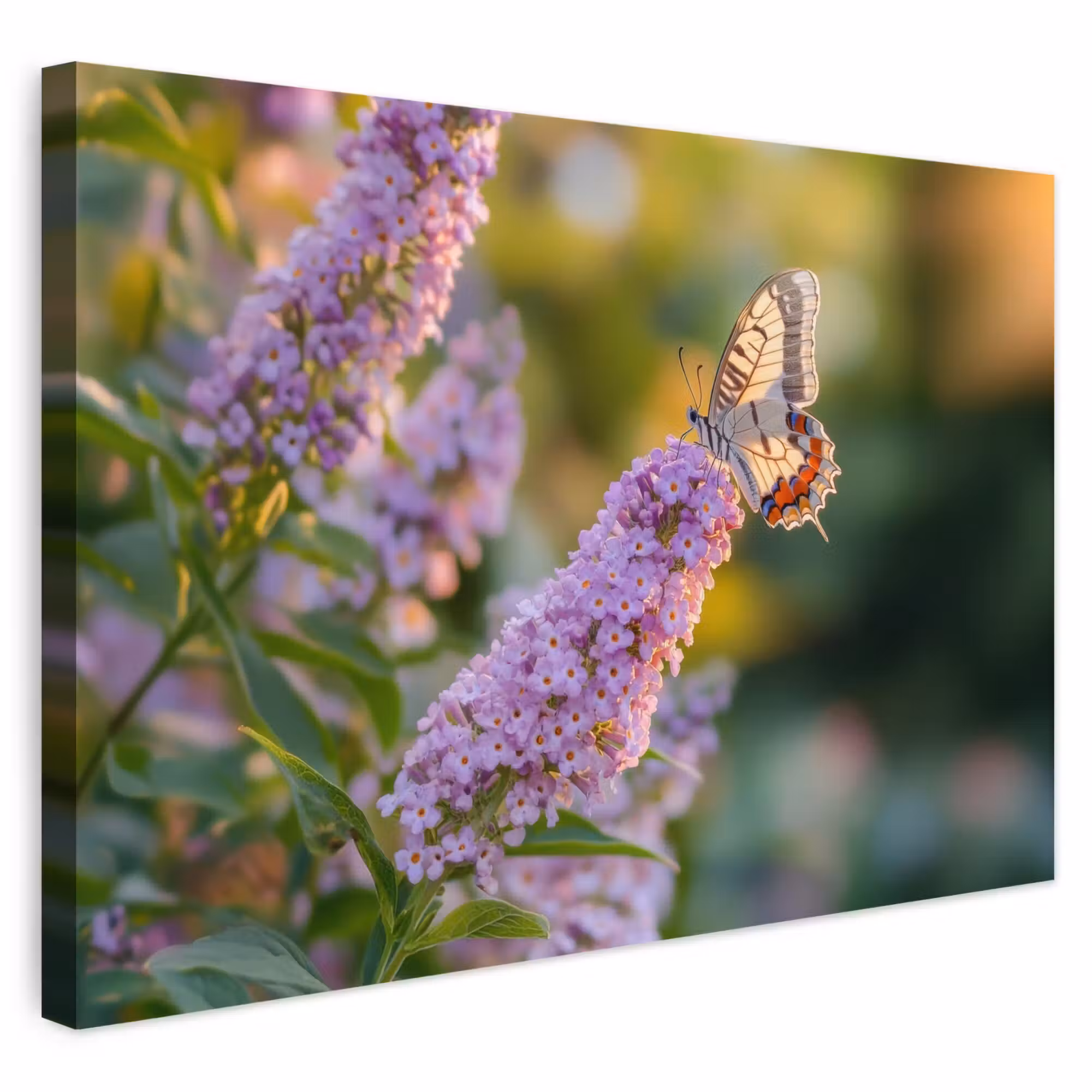 Buiten canvas - Sierlijke - Vlinder - Paarse - Bloemen