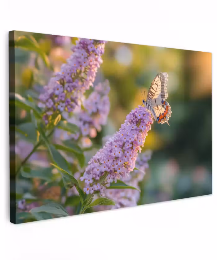Buiten canvas - Sierlijke - Vlinder - Paarse - Bloemen