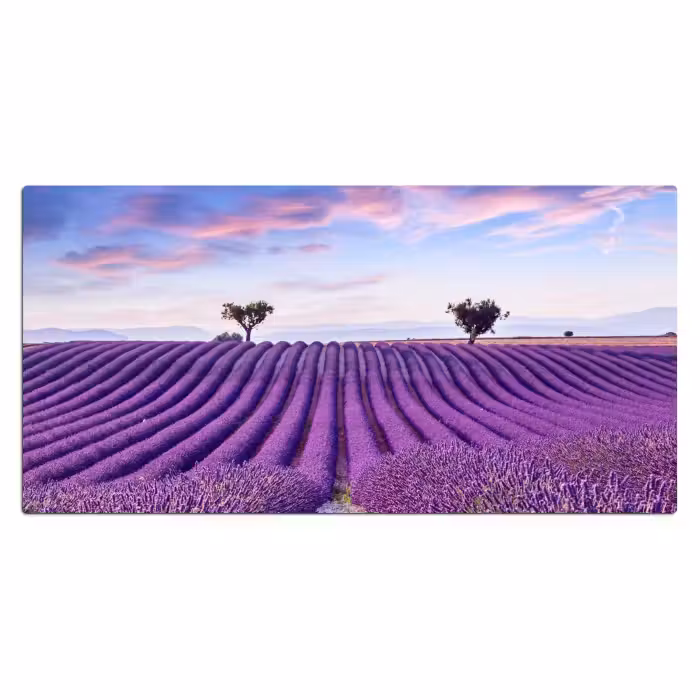 Bureau onderlegger - lavendel-natuur-paars-bomen-bloemen
