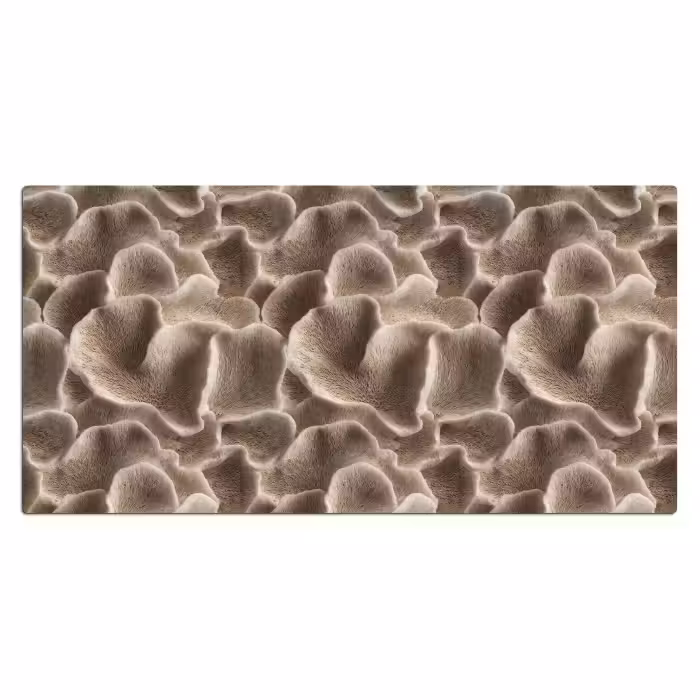 Bureau onderlegger - Waaiervorm - Beige - Vezel textuur
