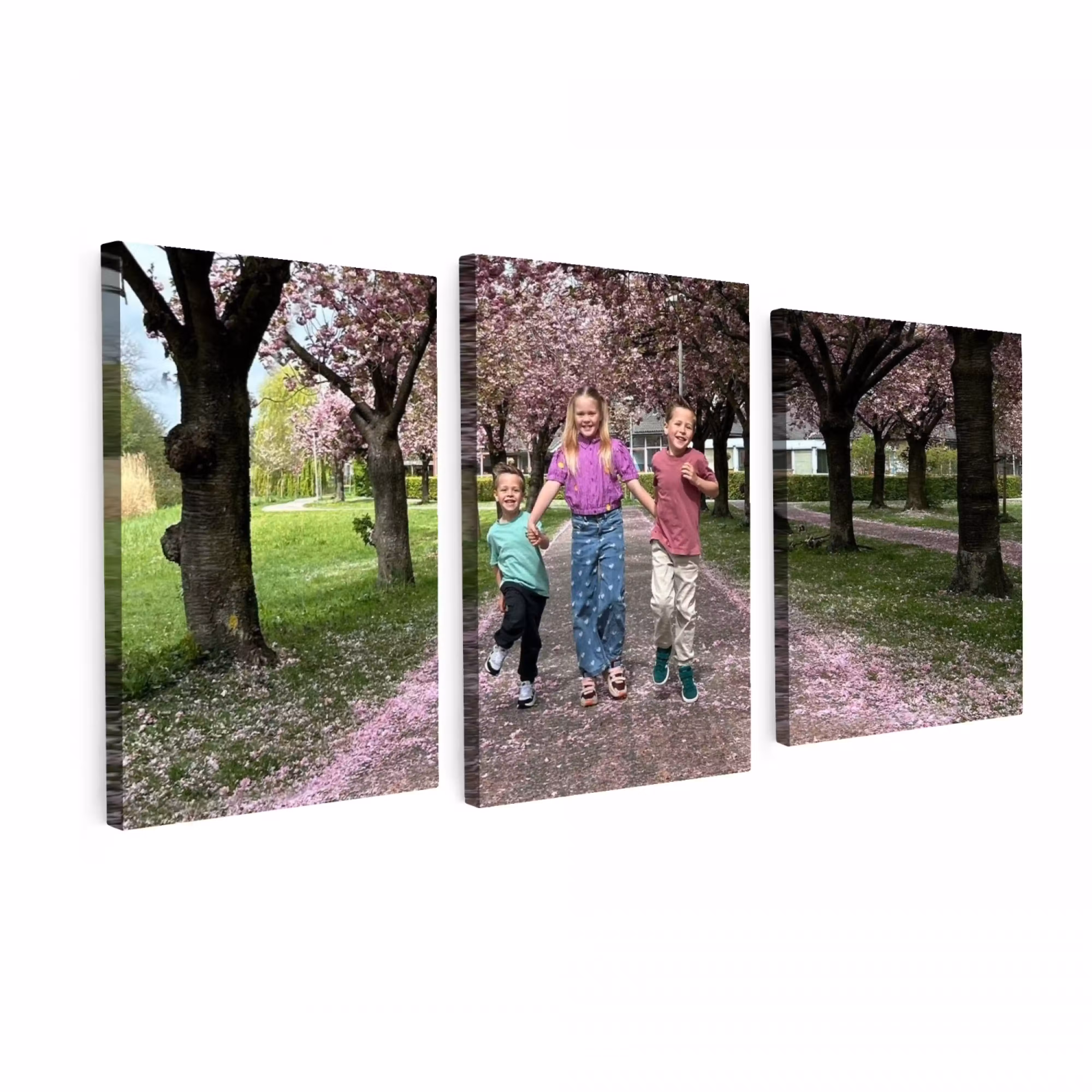 Canvas drieluik - 120x60 cm (3 luiken van 40 cm breed)