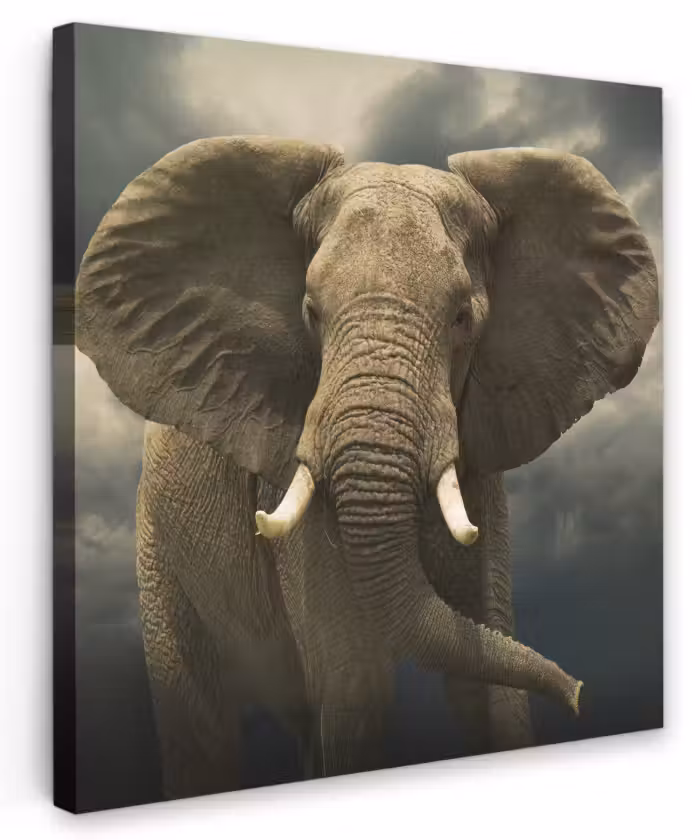 Canvas schilderij - Afrikaanse olifant tegen de donkere wolken