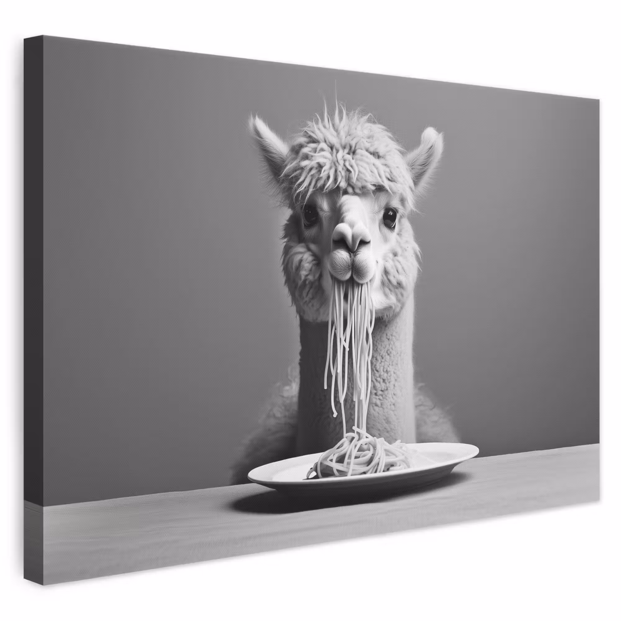 Canvas schilderij - Alpaca - Pasta - Zwart - Wit - Grappig - Dieren