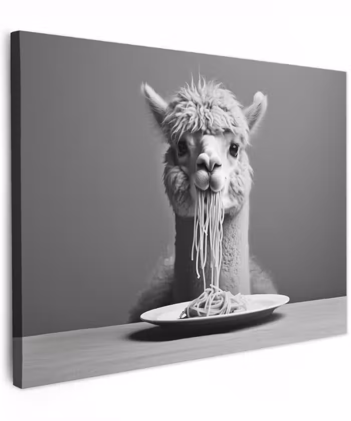Canvas schilderij - Alpaca - Pasta - Zwart - Wit - Grappig - Dieren
