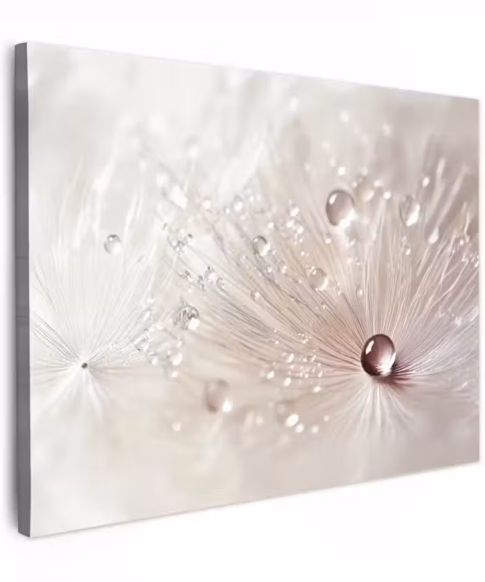 Canvas schilderij - Bloem - Abstract - Wit - Water - Natuur