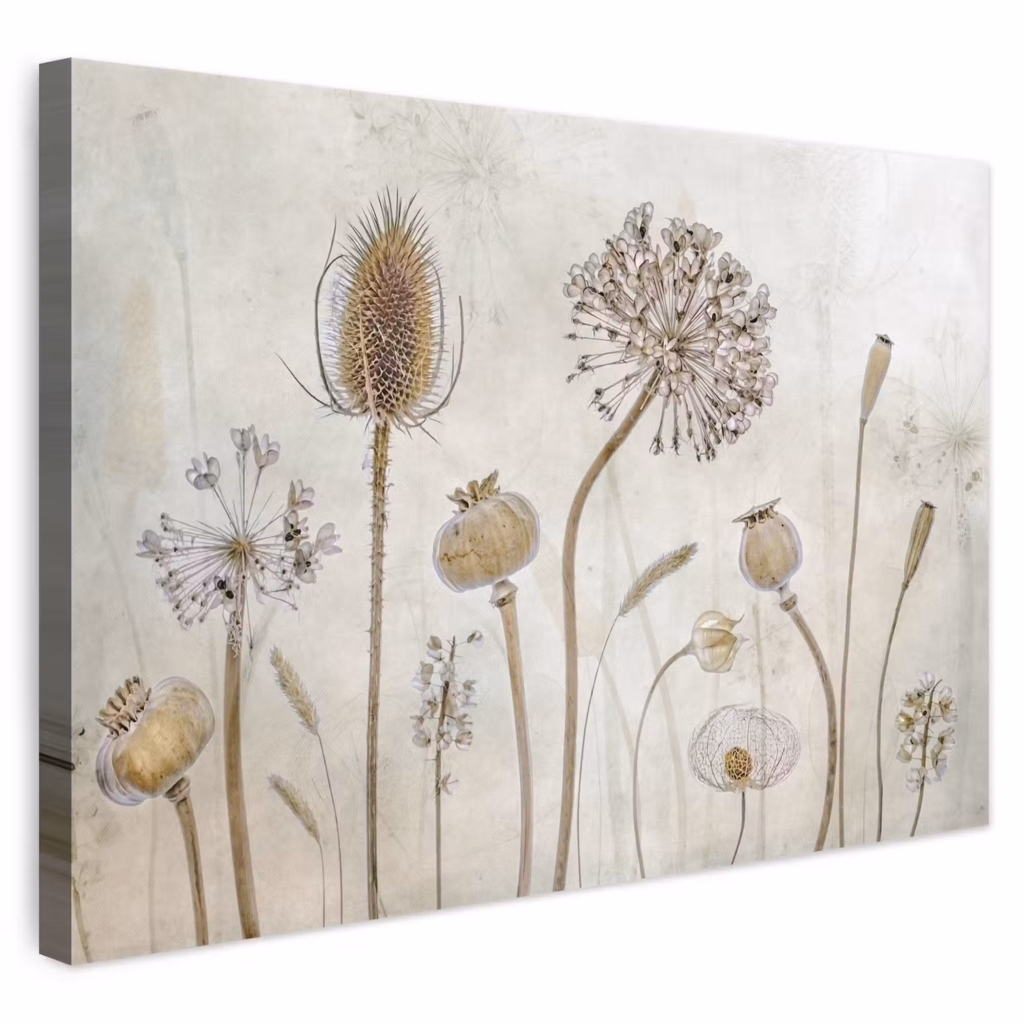 Canvas schilderij - Bloemen - Waterverf - Stilleven - Bruin - Vintage