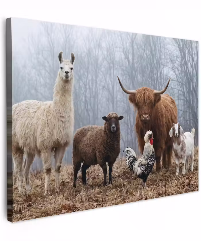 Canvas schilderij - Boerderijdieren - Groep - Mist - Natuur - Rustiek