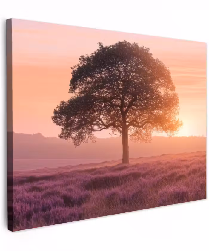 Canvas schilderij - Boom - Heide - Zonsopgang