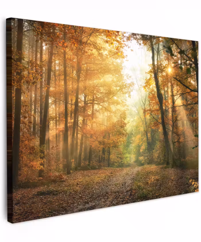 Canvas schilderij - Bos - Herfst - Zon - Landschap - Natuur - Bomen - Bladeren