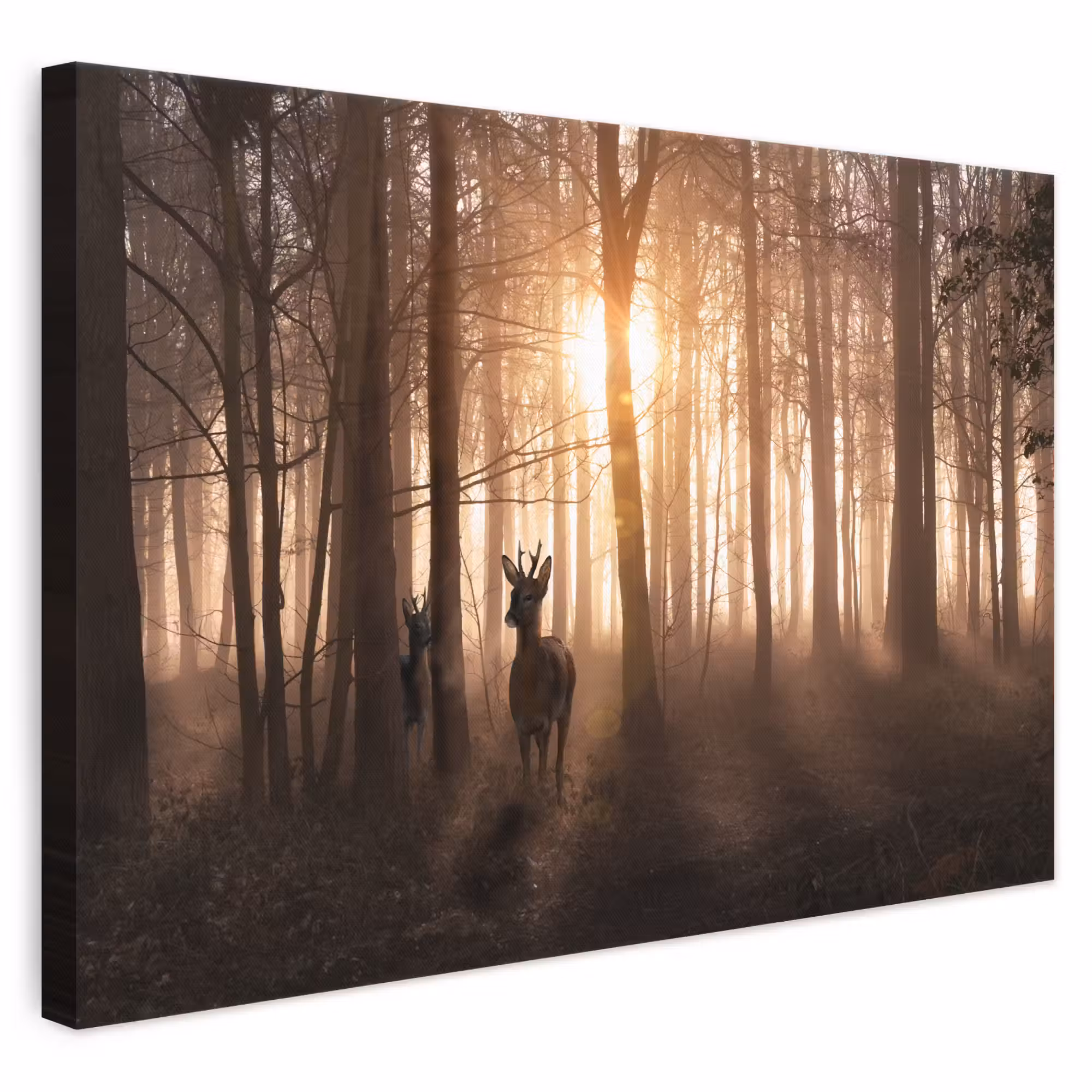 Canvas schilderij - Bos - Hert - Zon - Bomen - Winter - Natuur - Dieren