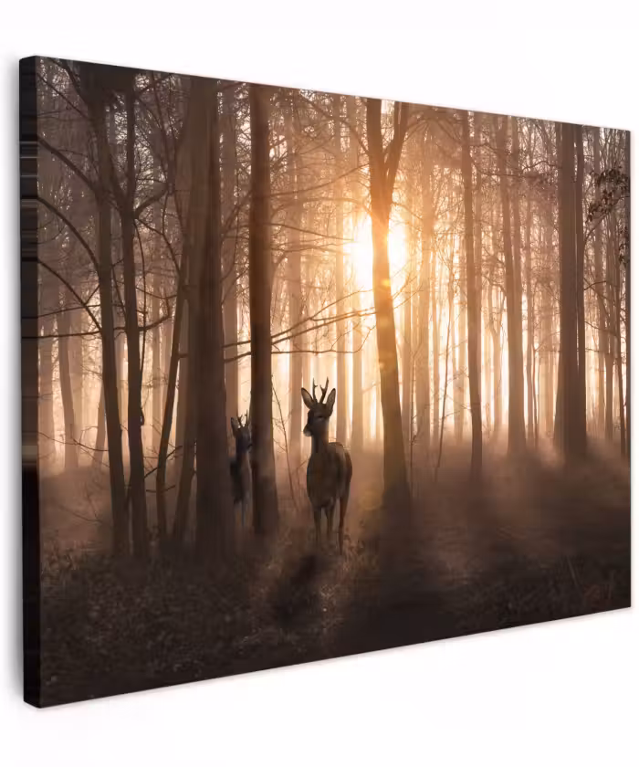 Canvas schilderij - Bos - Hert - Zon - Bomen - Winter - Natuur - Dieren