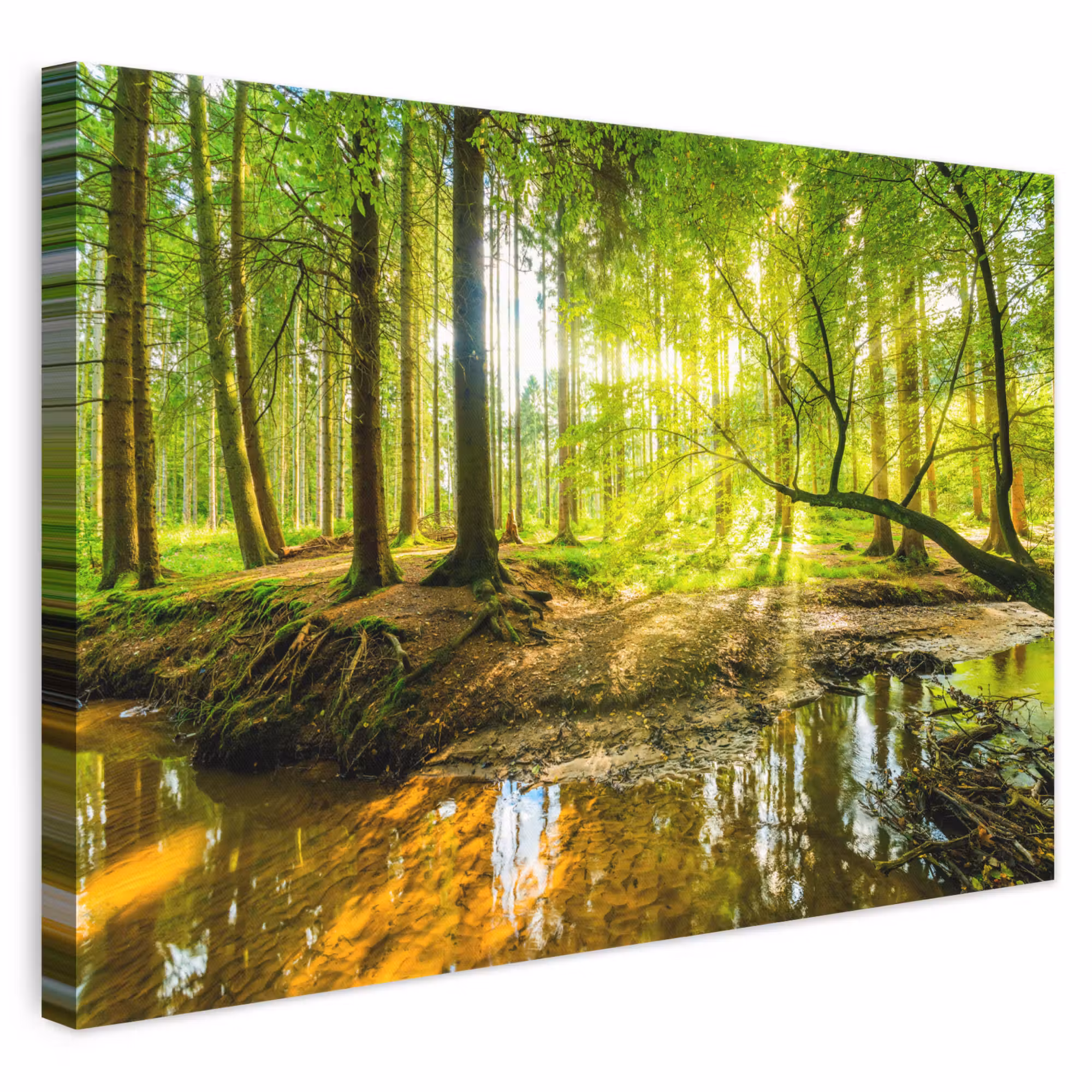 Canvas schilderij - Bos - Landschap - Water - Bomen - Zon - Groen - Natuur