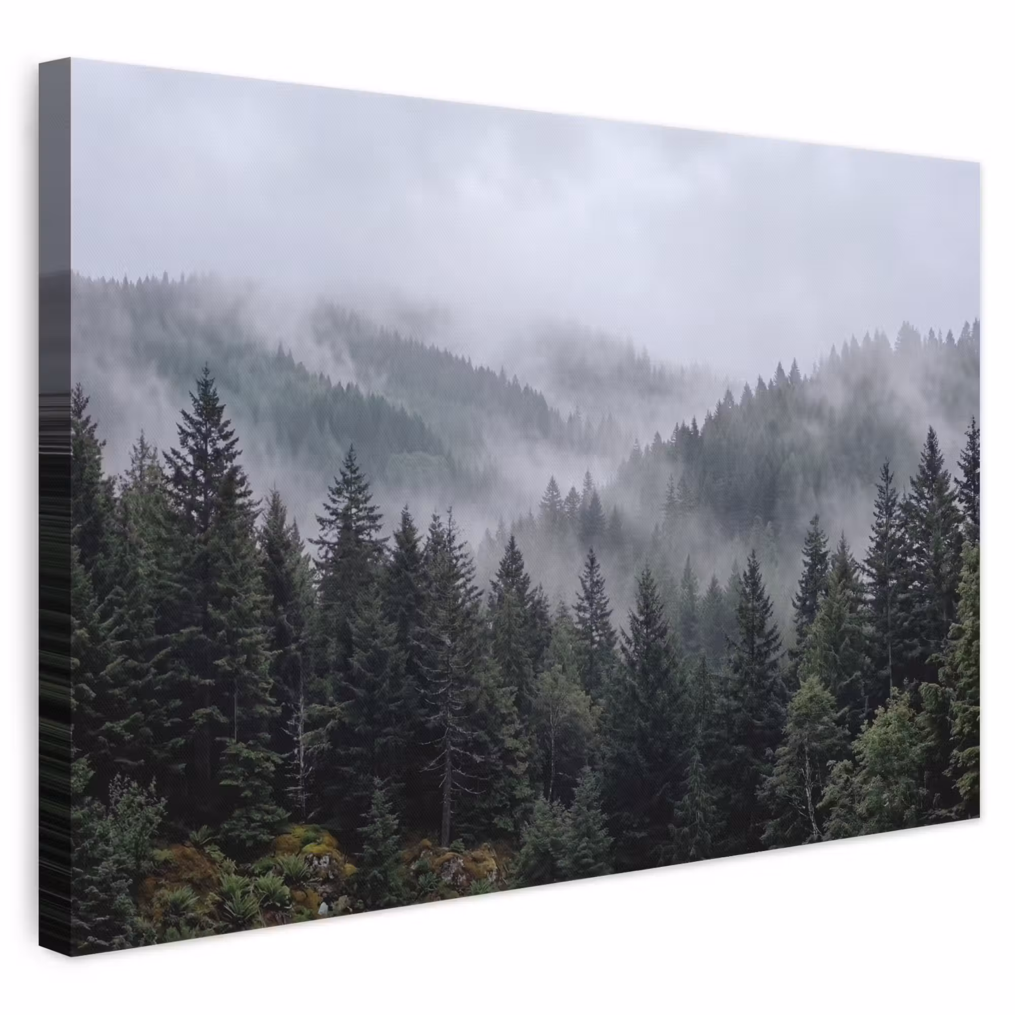 Canvas schilderij - Bos - Mist - Bomen - Natuur