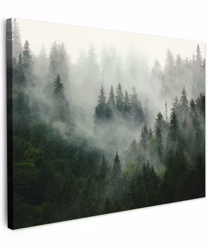 Canvas schilderij - Bos - Mist - Bomen - Natuur