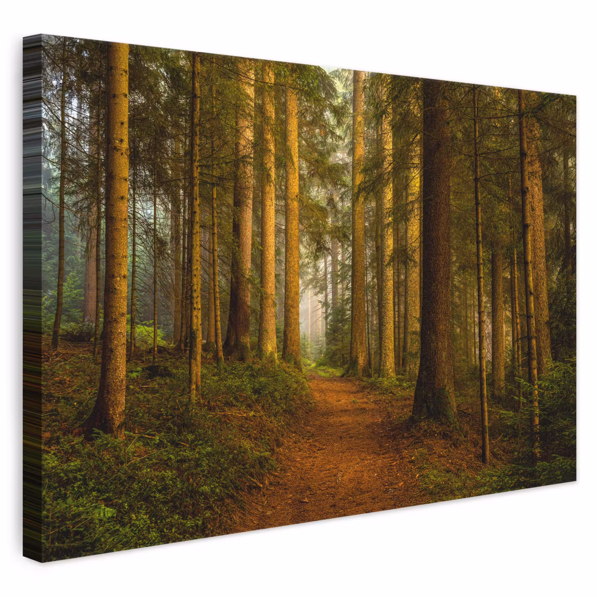 Canvas schilderij - Bos - Natuur - Bomen - Landschap - Bladeren