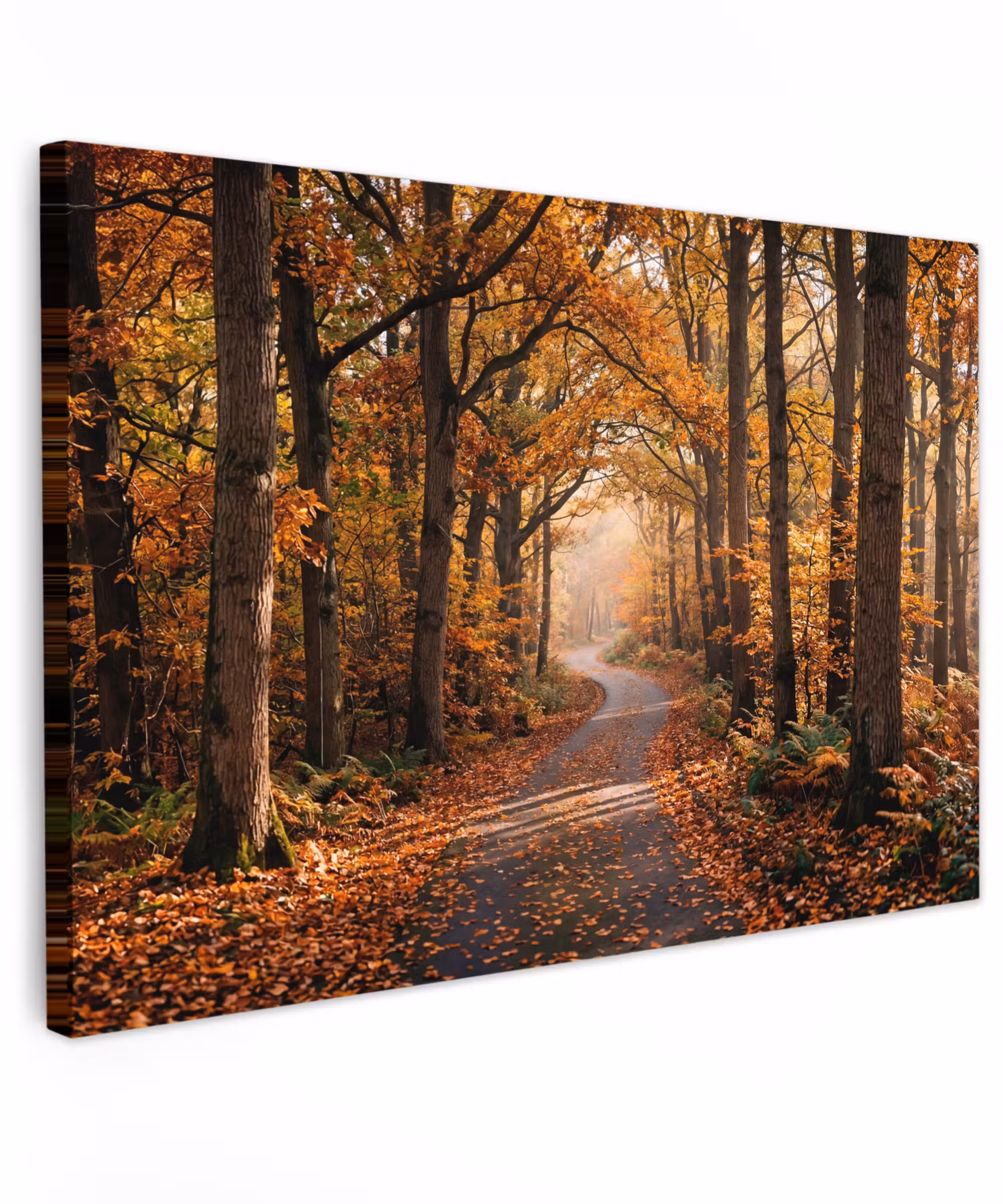 Canvas schilderij - Bospad - Herfstbos - Bladeren - Oranje - Nostalgisch