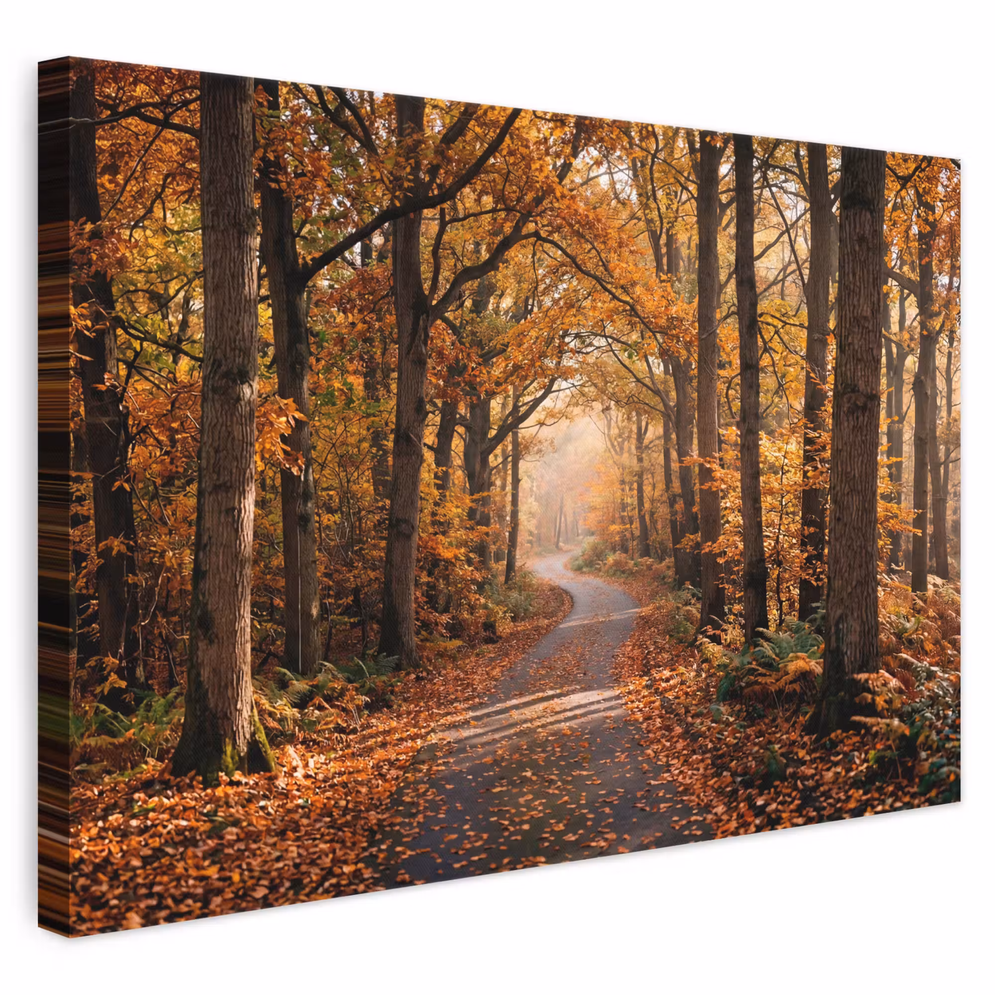 Canvas schilderij - Bospad - Herfstbos - Bladeren - Oranje - Nostalgisch