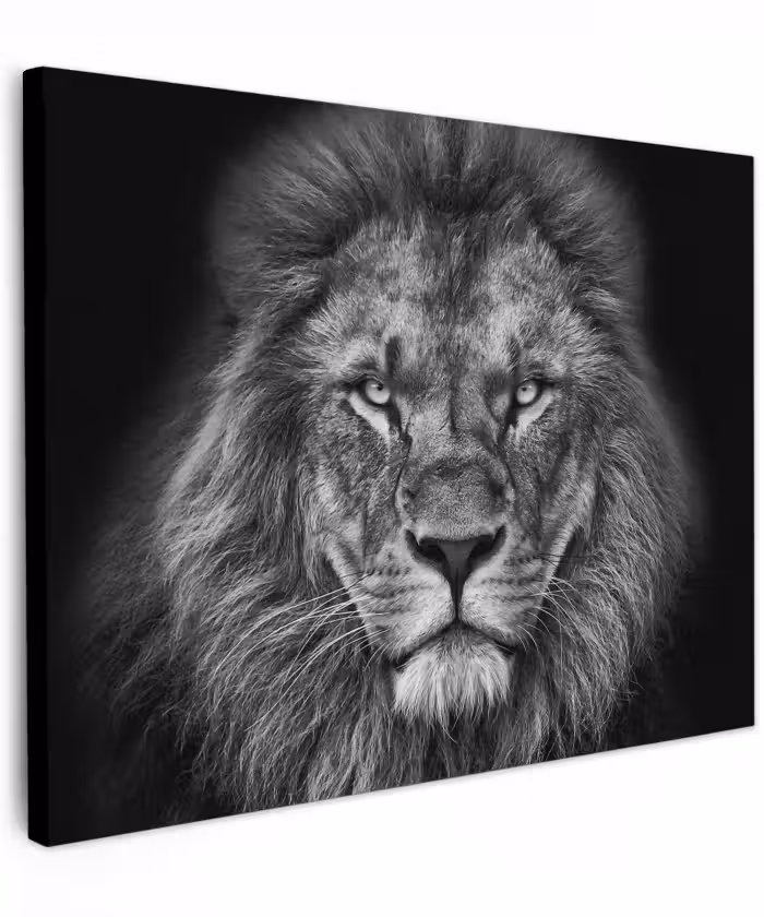 Canvas schilderij - Dieren - Leeuw - Zwart - Wit - Portret