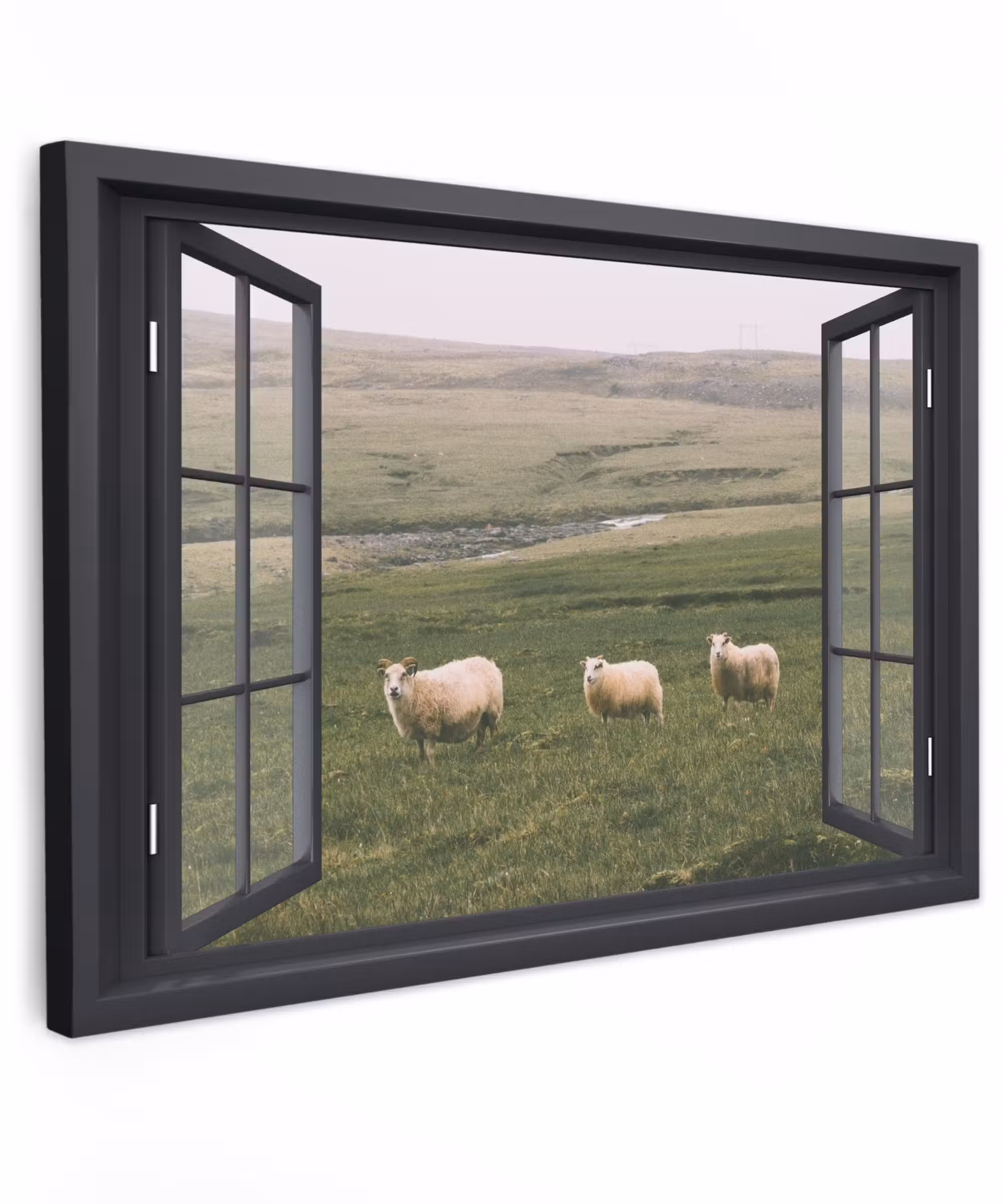 Canvas schilderij - Doorkijk - Gras - Schaap