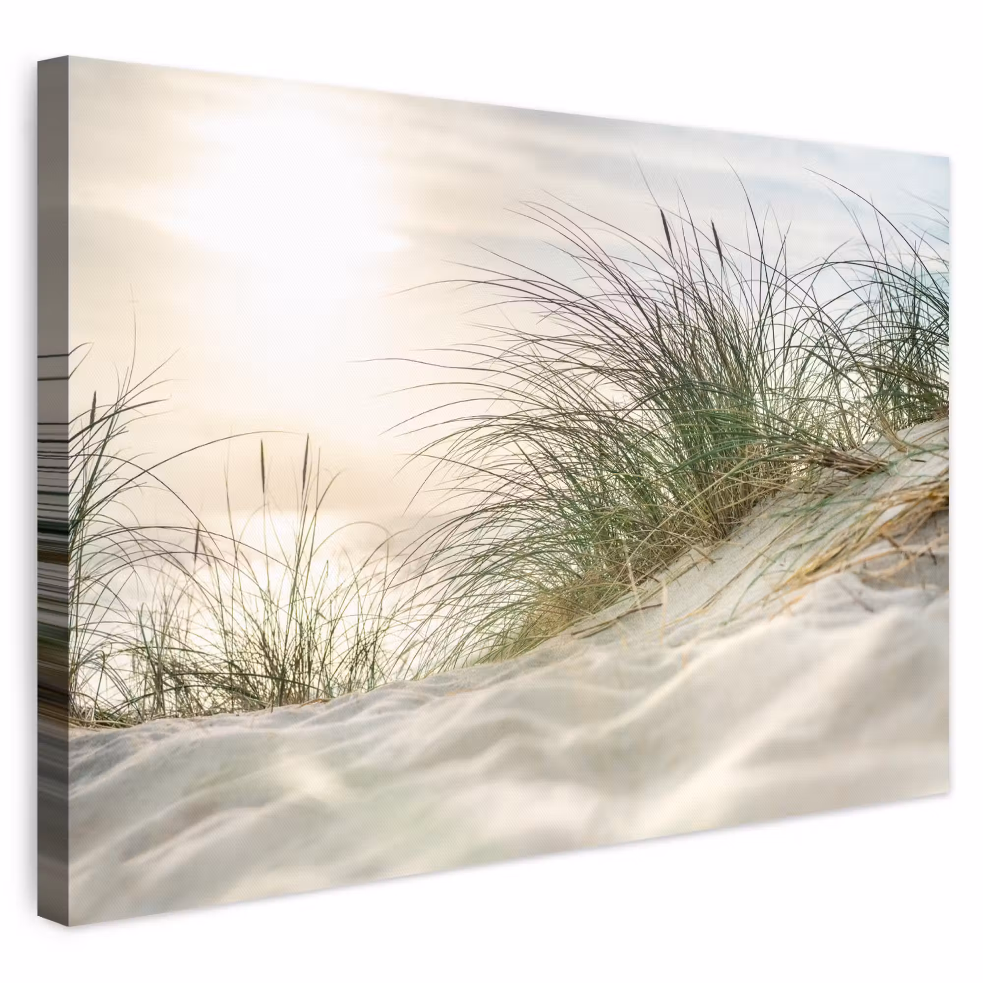 Canvas schilderij - Duinen met helmgras onder de zon van het Duitse nationaal Park Schleswig-Holsteinisches Wattenmeer