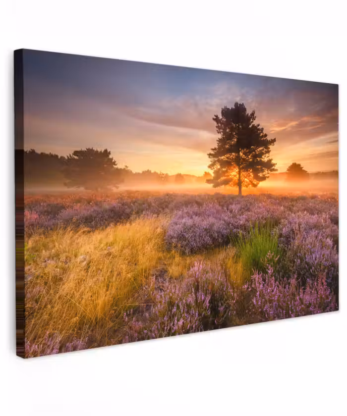 Canvas schilderij - Heidelandschap met een boom