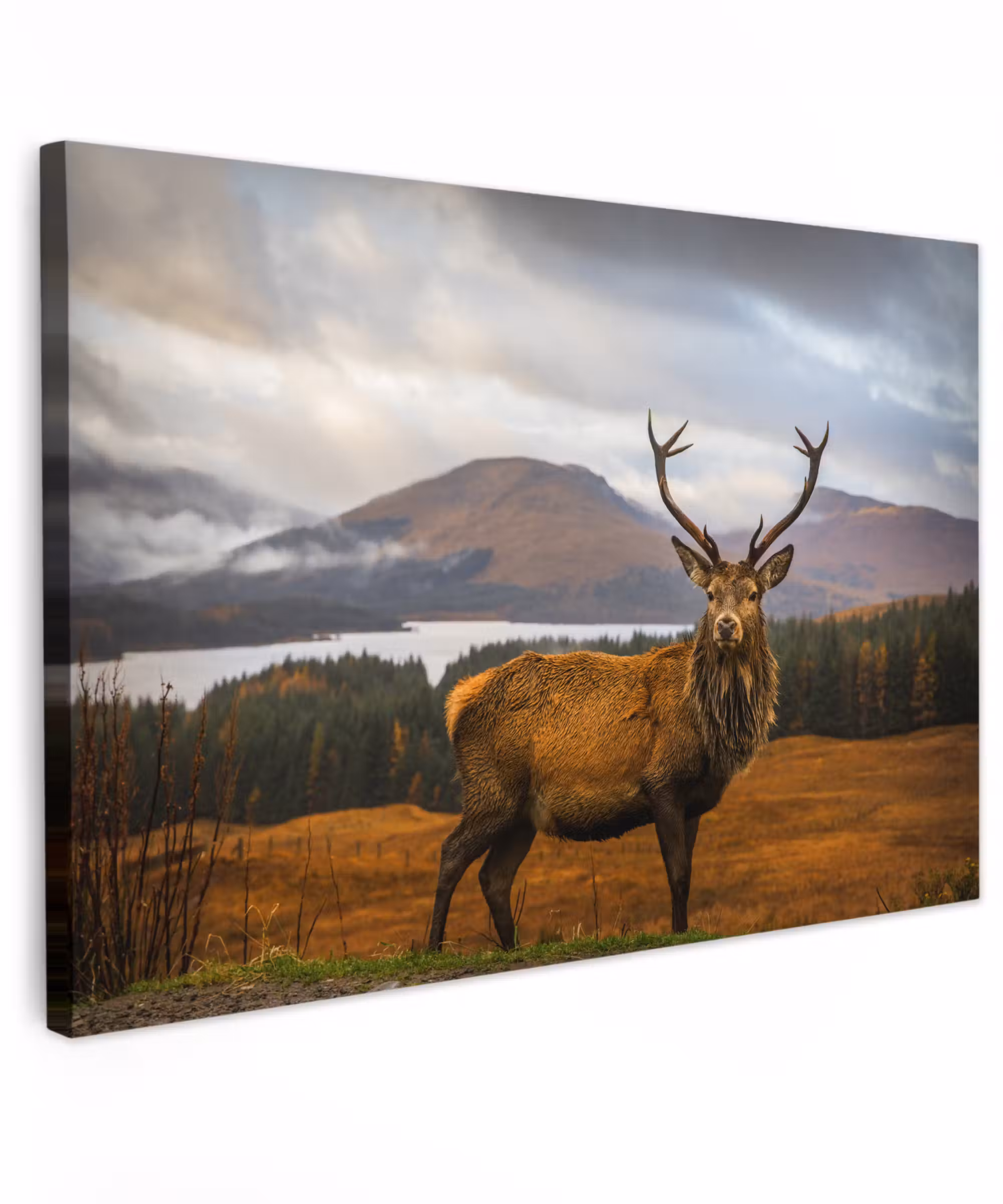 Canvas schilderij - Hert - Berg - Water - Landschap - Dieren - Bomen