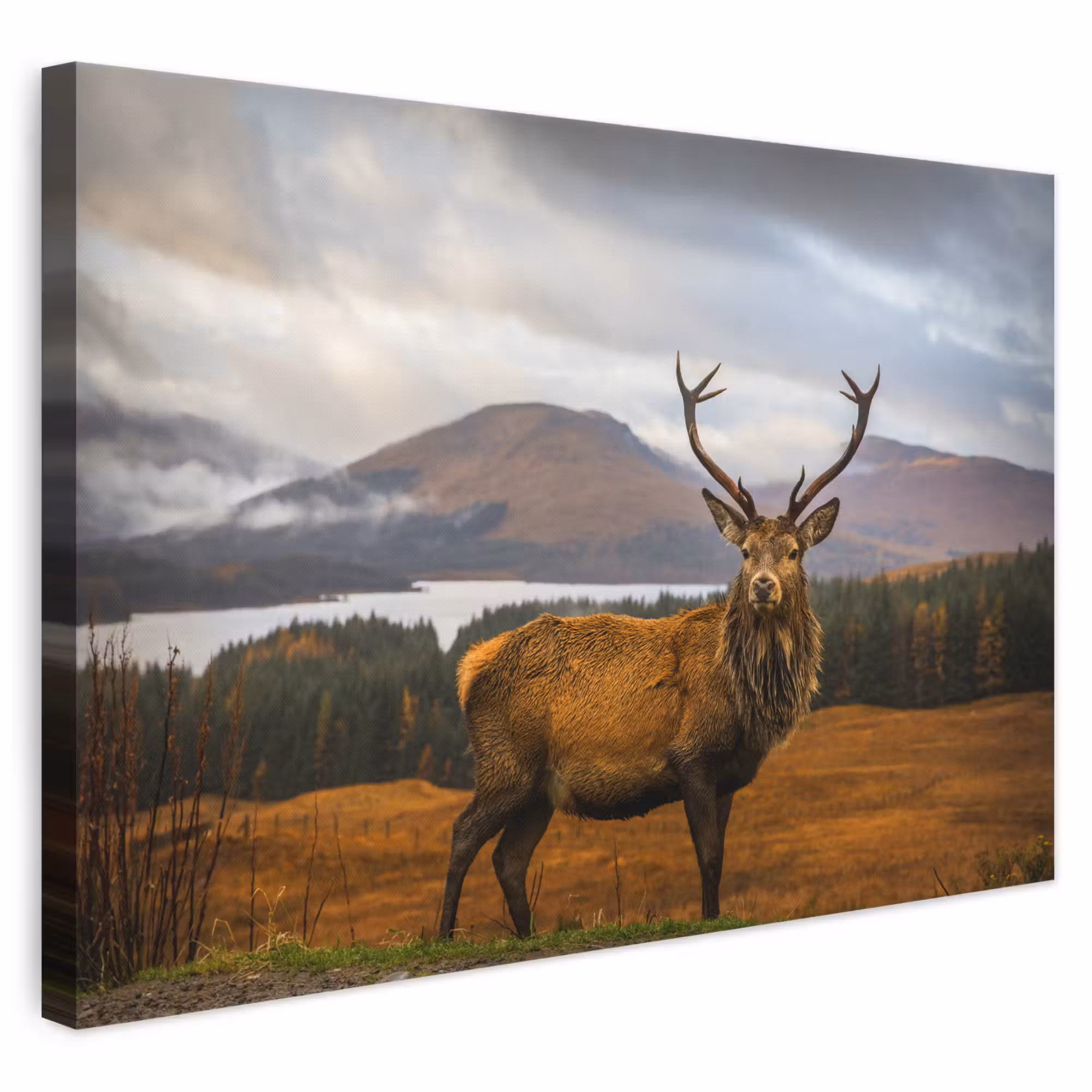 Canvas schilderij - Hert - Berg - Water - Landschap - Dieren - Bomen