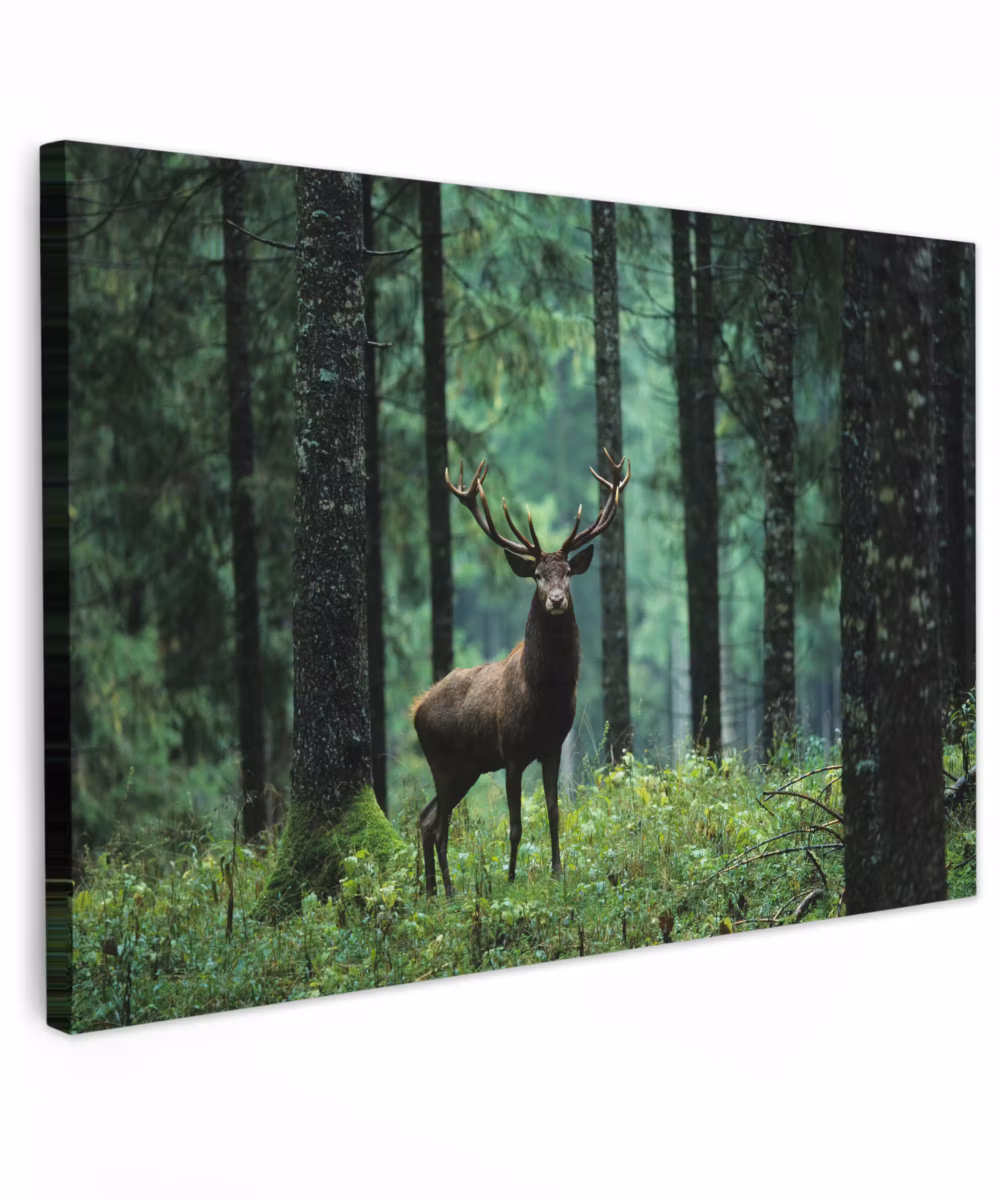Canvas schilderij - Hert - Bos - Bomen - Dieren - Natuur