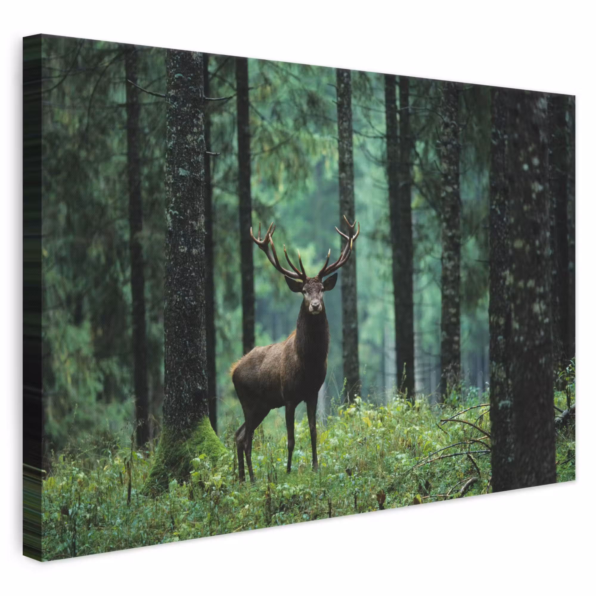 Canvas schilderij - Hert - Bos - Bomen - Dieren - Natuur