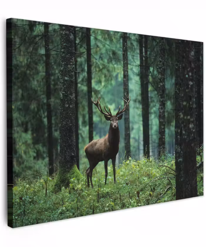 Canvas schilderij - Hert - Bos - Bomen - Dieren - Natuur