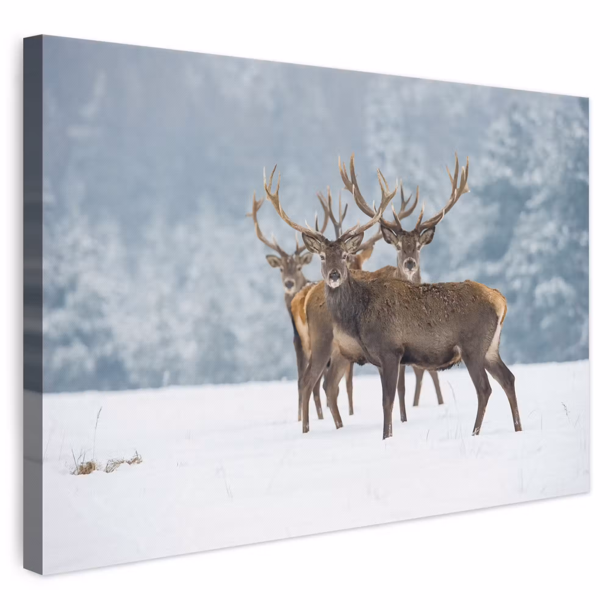 Canvas schilderij - Hert - Dieren - Sneeuw - Winter - Landschap - Natuur