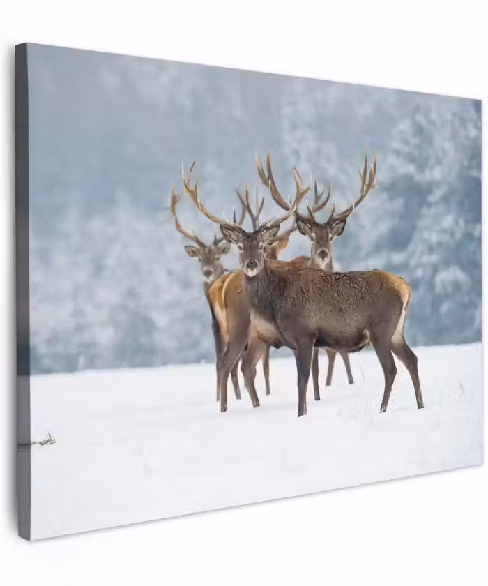 Canvas schilderij - Hert - Dieren - Sneeuw - Winter - Landschap - Natuur