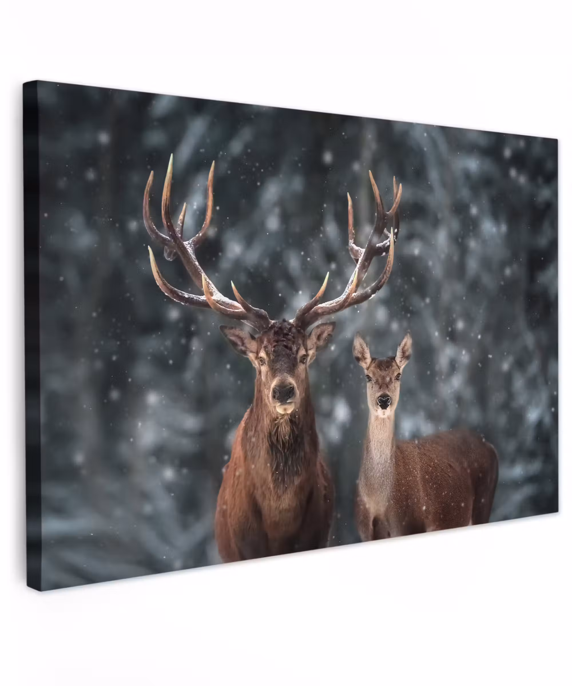 Canvas schilderij - Hert - Dieren - Winter - Gewei - Sneeuw - Natuur