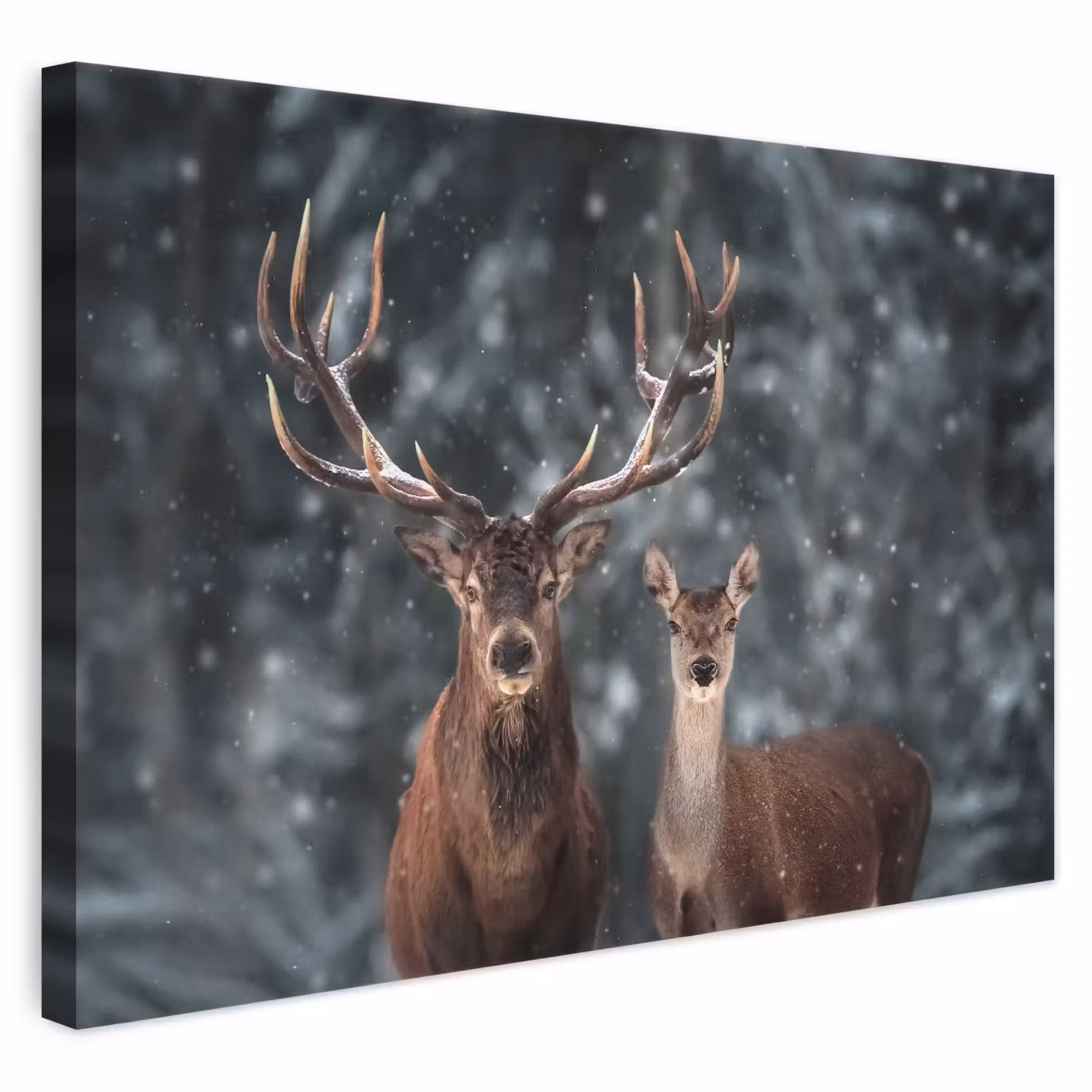 Canvas schilderij - Hert - Dieren - Winter - Gewei - Sneeuw - Natuur