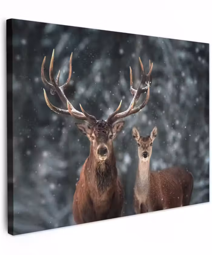 Canvas schilderij - Hert - Dieren - Winter - Gewei - Sneeuw - Natuur