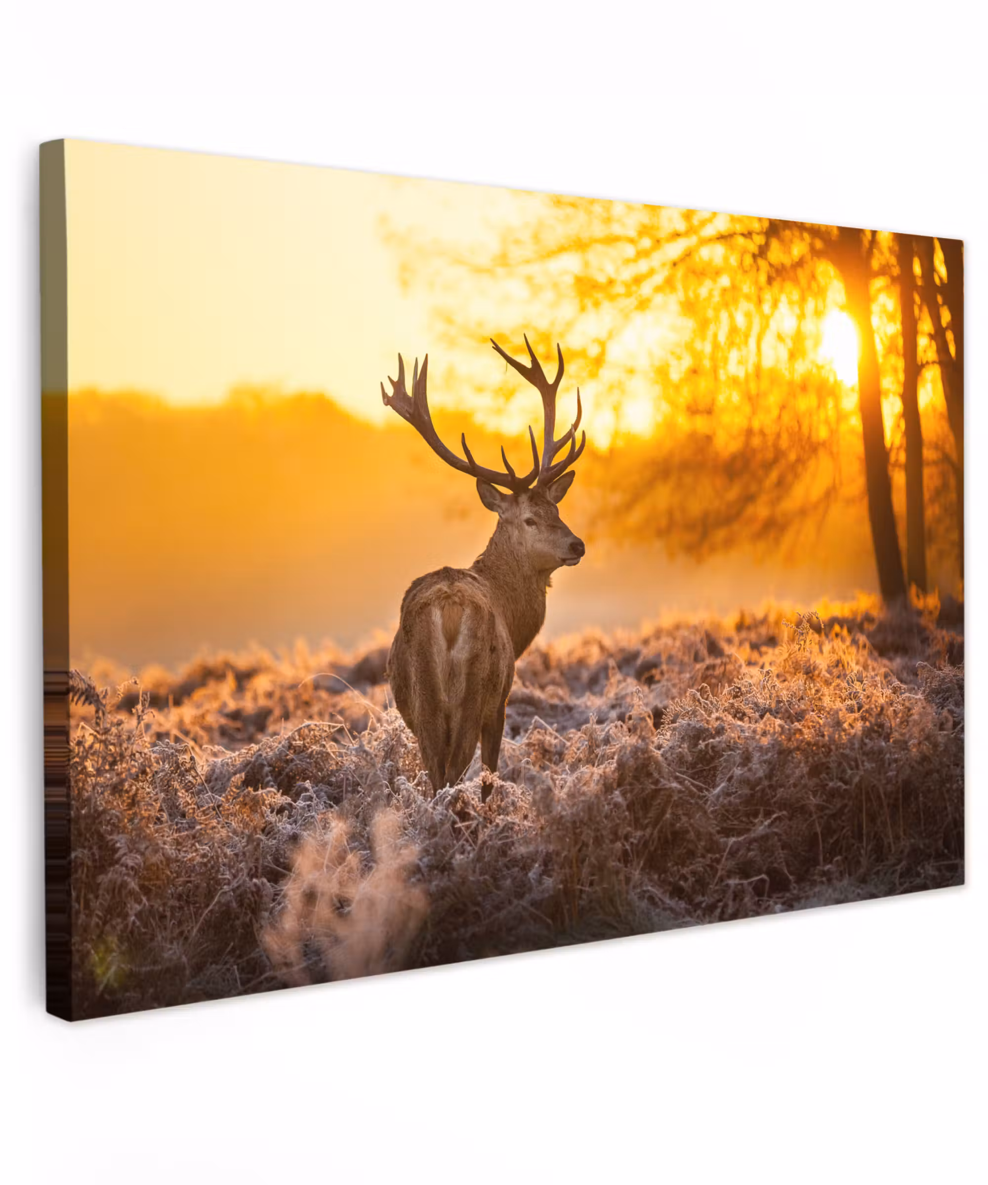 Canvas schilderij - Hert - Dieren - Zonsondergang - Winter - Heide - Natuur
