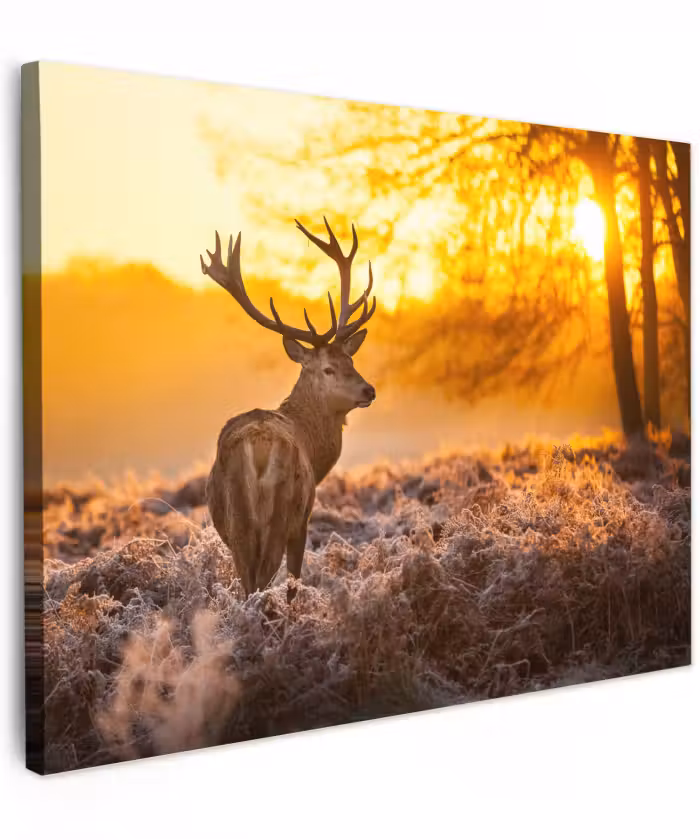 Canvas schilderij - Hert - Dieren - Zonsondergang - Winter - Heide - Natuur