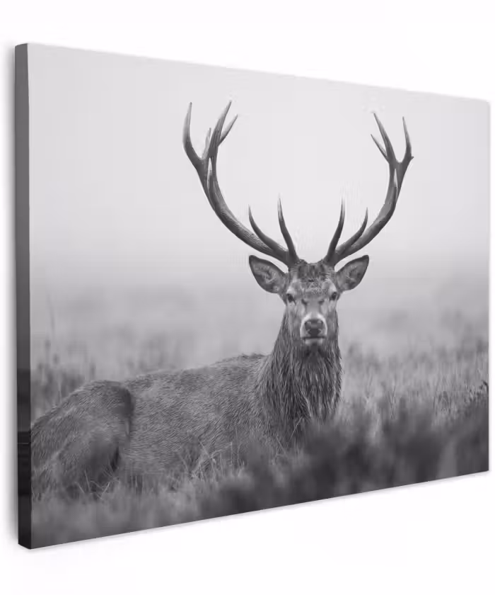 Canvas schilderij - Hert - Mistig - Zwart - Wit
