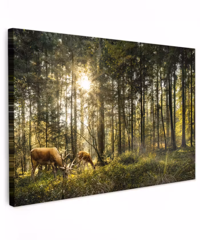 Canvas schilderij - Hert - Natuur - Bos