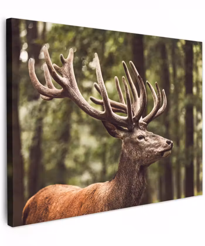 Canvas schilderij - Hert - Natuur - Gewei - Bos - Dieren