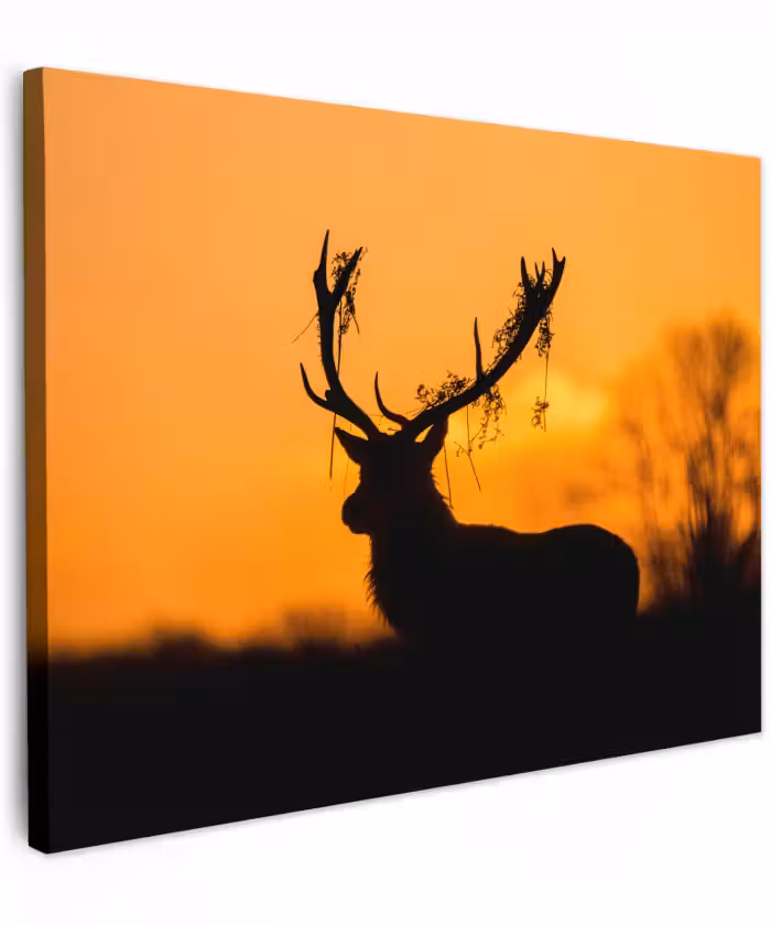 Canvas schilderij - Hert - Oranje - Silhouet - Dieren - Natuur
