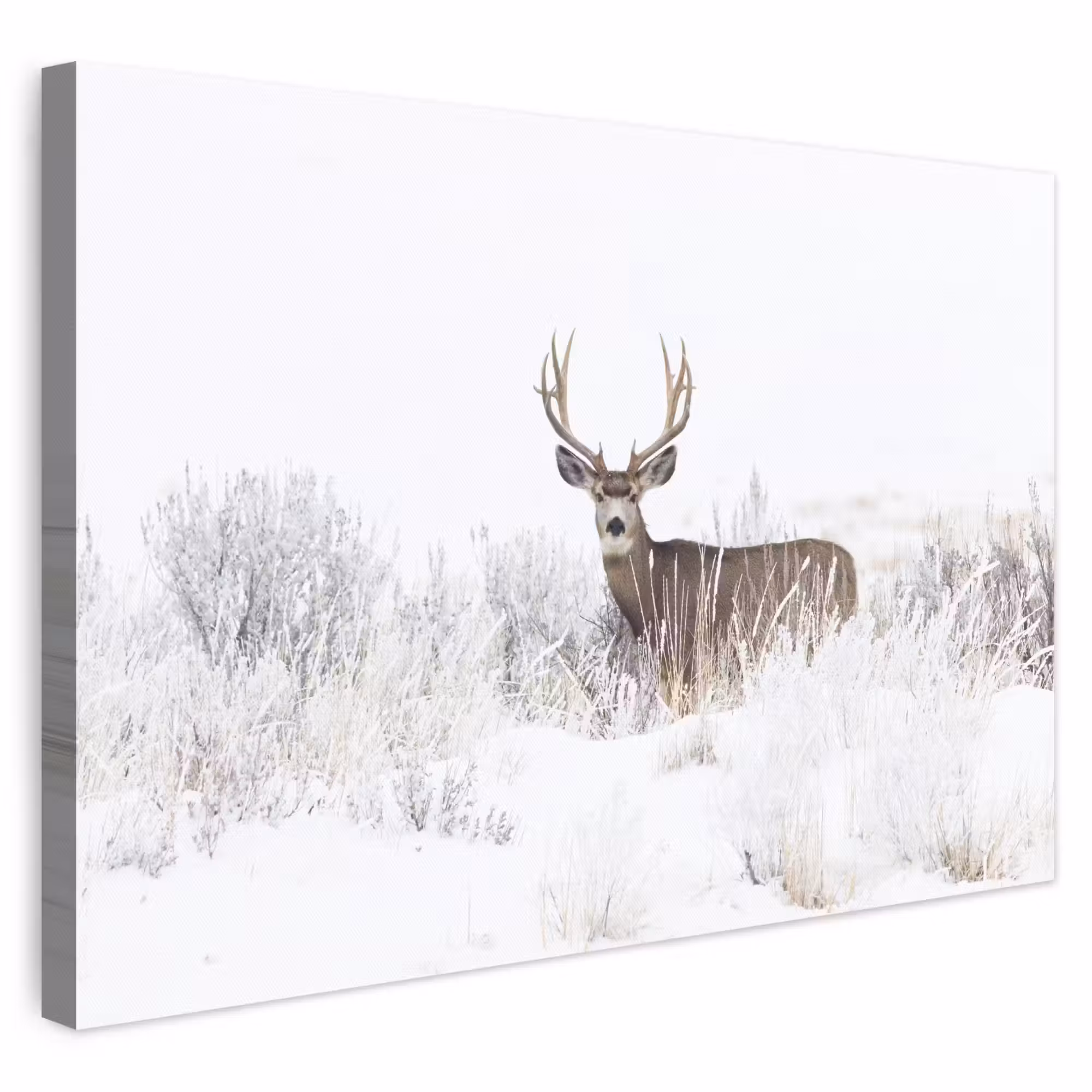 Canvas schilderij - Hert - Winter - Sneeuw - Dieren - Seizoenen - Wit