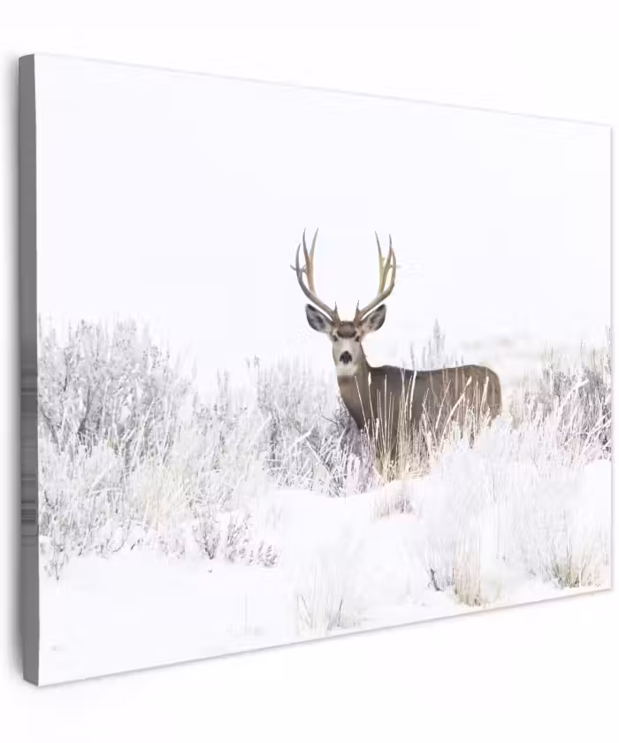 Canvas schilderij - Hert - Winter - Sneeuw - Dieren - Seizoenen - Wit